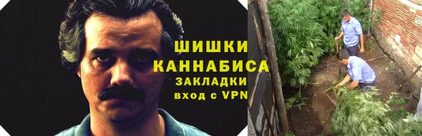 амфетамин Каменка