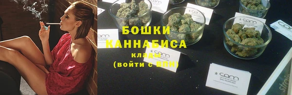 индика Каменск-Шахтинский