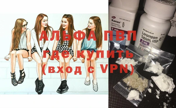 индика Каменск-Шахтинский