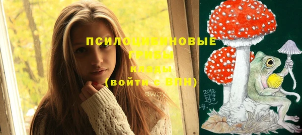 метадон Каменногорск
