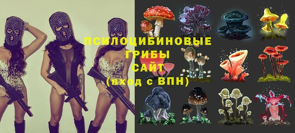 амфетамин Каменка