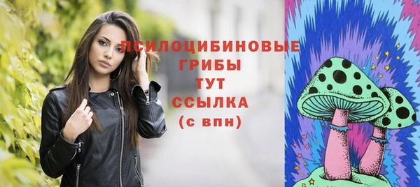 амфетамин Каменка