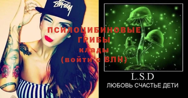 метадон Каменногорск