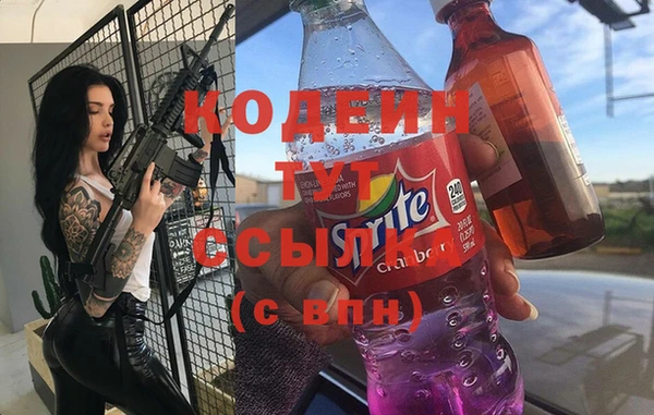 индика Каменск-Шахтинский