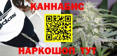 a pvp Дубна