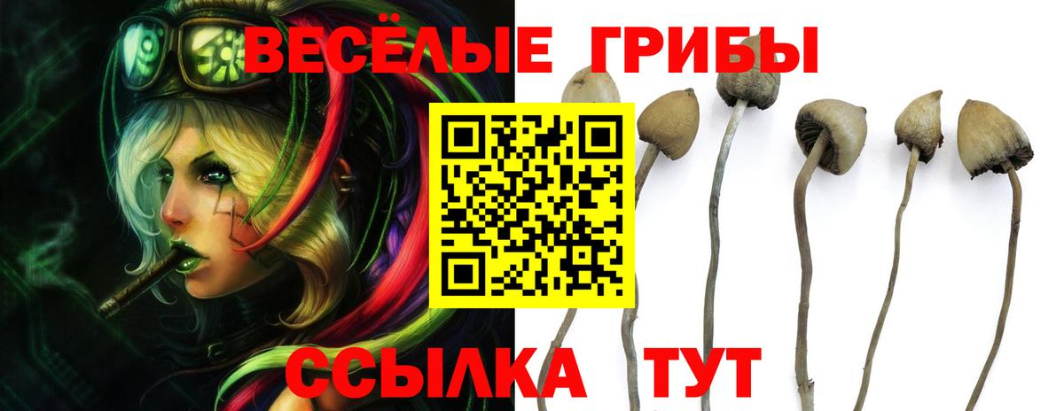 Нижний Новгород  Галлюциногенные грибы MAGIC MUSHROOMS  Вход с VPN 